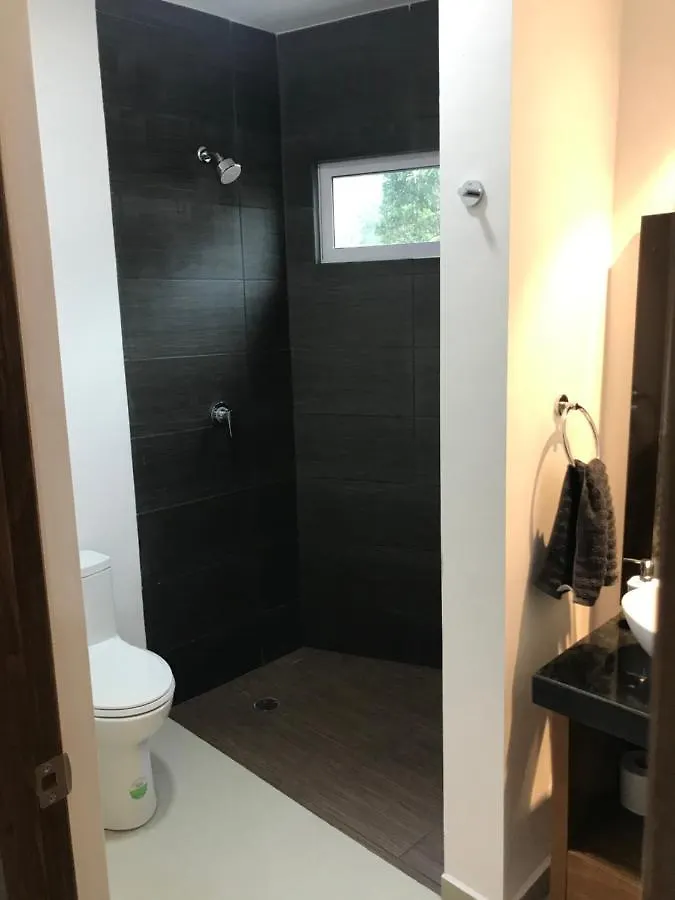 Playa Del Carmen // Suites Colibri Apartment Playa del Carmen