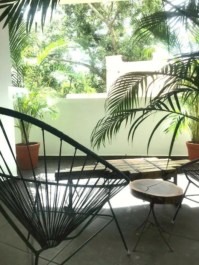 Playa Del Carmen // Suites Colibri 0*, Playa del Carmen