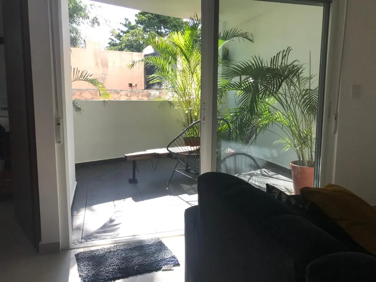 Playa Del Carmen // Suites Colibri Mexico